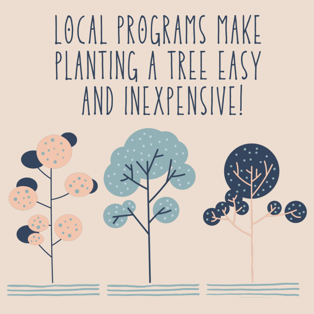 Local Programs Make tree Planting Easy